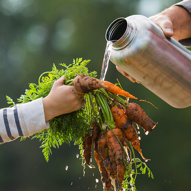 64oz-wide-with-loop-cap-x0 64oz_wide_mouth_bottle_carrots_rinse_square.jpg