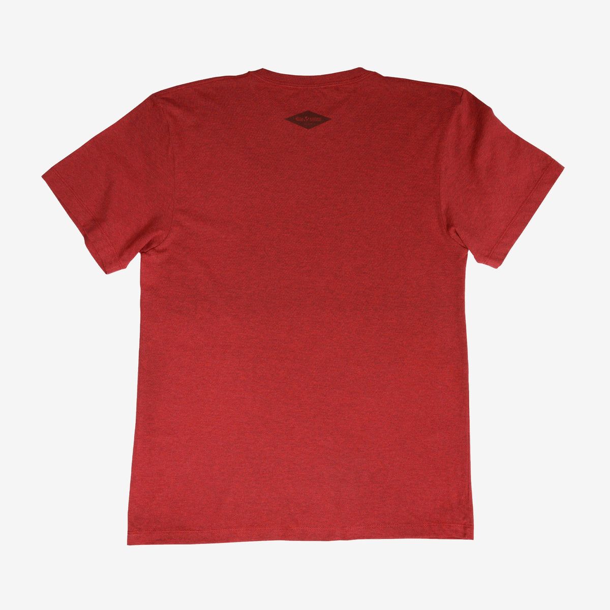 backyard-t-shirt-e5 Shirt_Mtn_Back.jpg